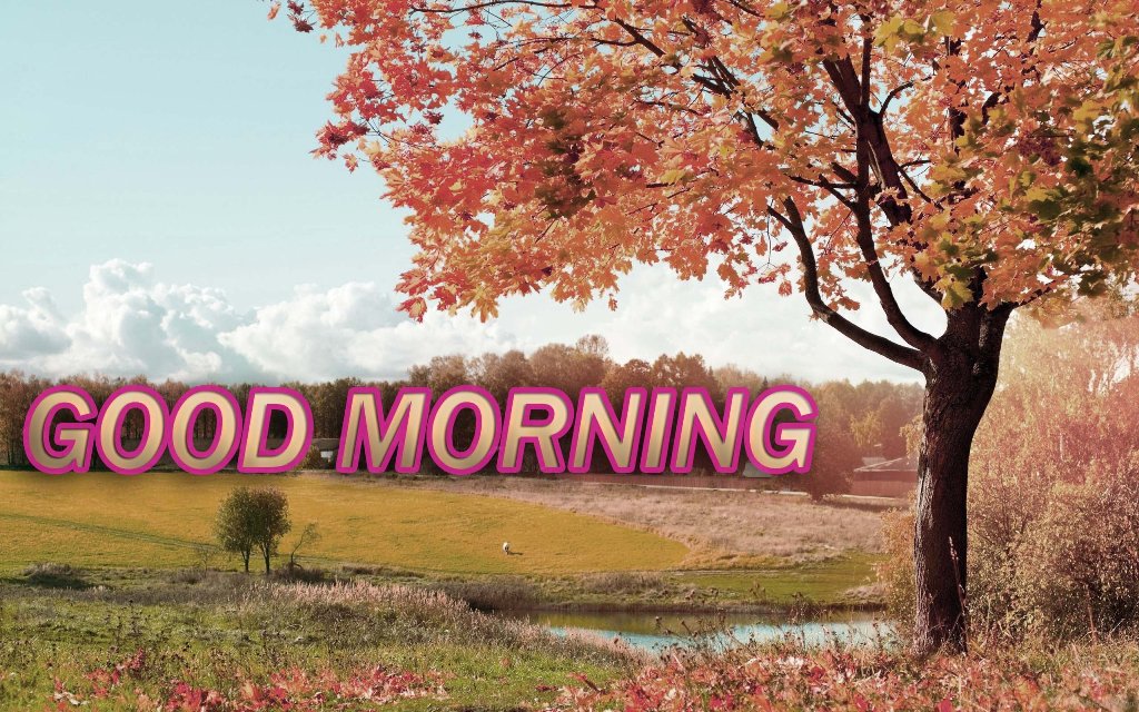 Good-Morning-Autumn-wg017017.jpg