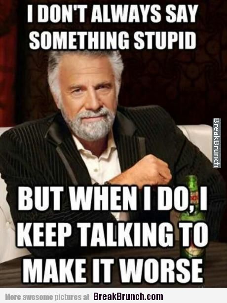 i-dont-always-say-something-stupid-meme.jpg