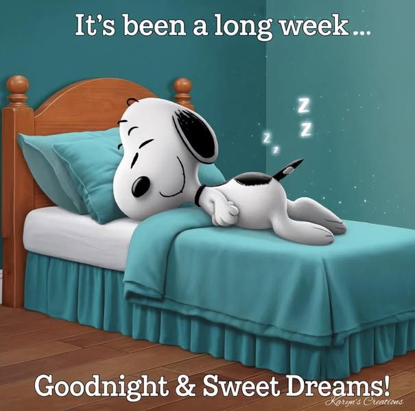 This may contain: a cartoon dog laying on top of a bed next to a blue wall with the words, it's been a long week