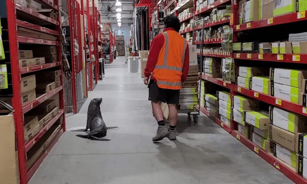 healthyhappynews.com