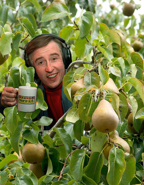 partridge_peartree.jpg