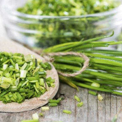 A Guide to Growing Chives