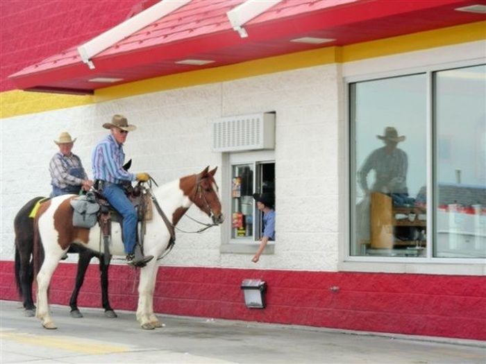 the-most-unusual-drivethru-customers-4.jpg