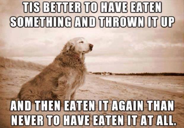 Dogs-eating-bad-things.jpg