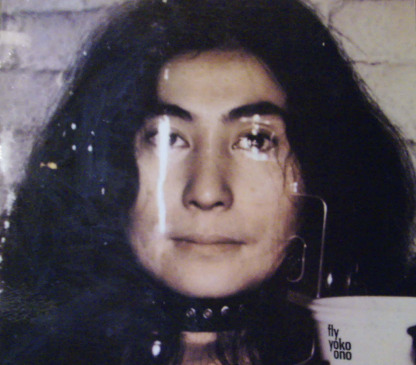 yokoono_fly.jpg