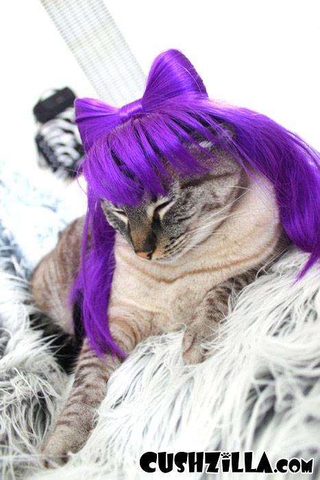 cushzilla-lady-gaga-dog-wig-cat-wig-118-01.jpg