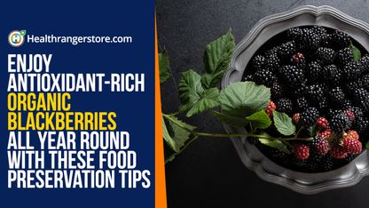 Enjoy antioxidant-rich Organic Blackberries all year round with these food preservation tips