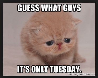 Funny-Tuesday-Morning-Memes.jpg