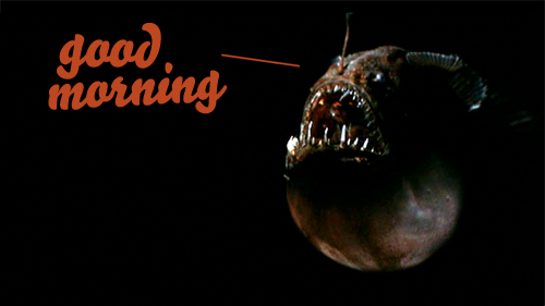 good-morning-fish.png
