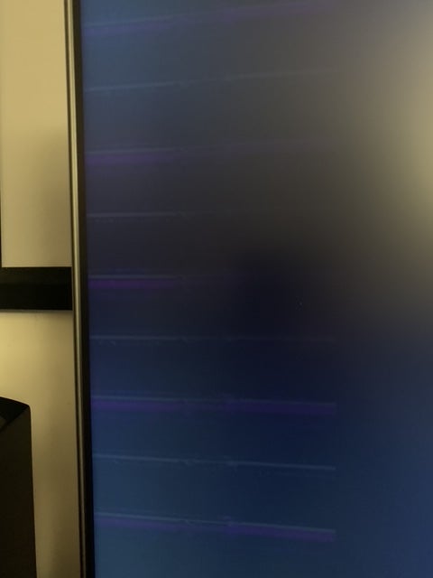 Philips Momentum 558M1RY banding