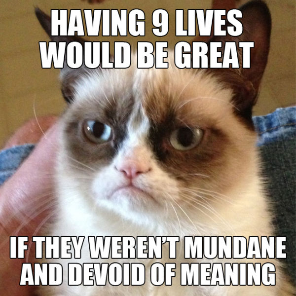 funny_grumpy_cat_meme_selection_640_04.jpg