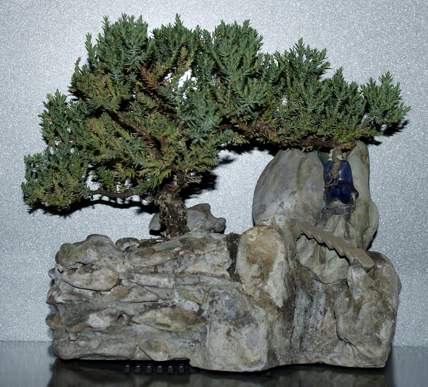 Bonsai_Tree_4_by_Dracoart_Stock.jpg