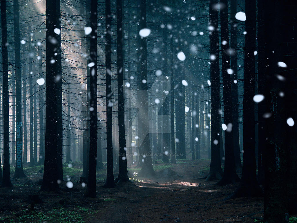 cool_snowy_forest_by_sarajabeen95-d2pudwu.jpg