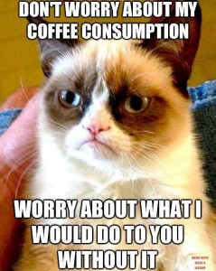 Grumpy-cat-meme.jpg