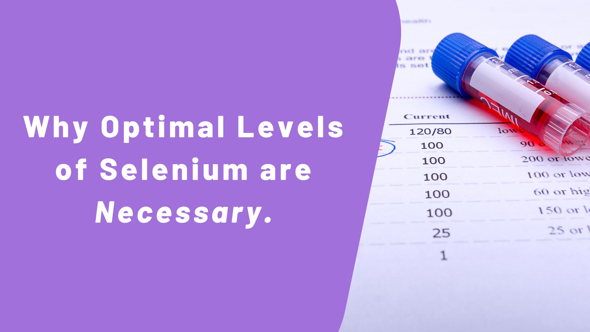 breastcancerconqueror.com