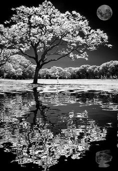 ba70ace32f9a9614ba0567e2793372a5.jpg