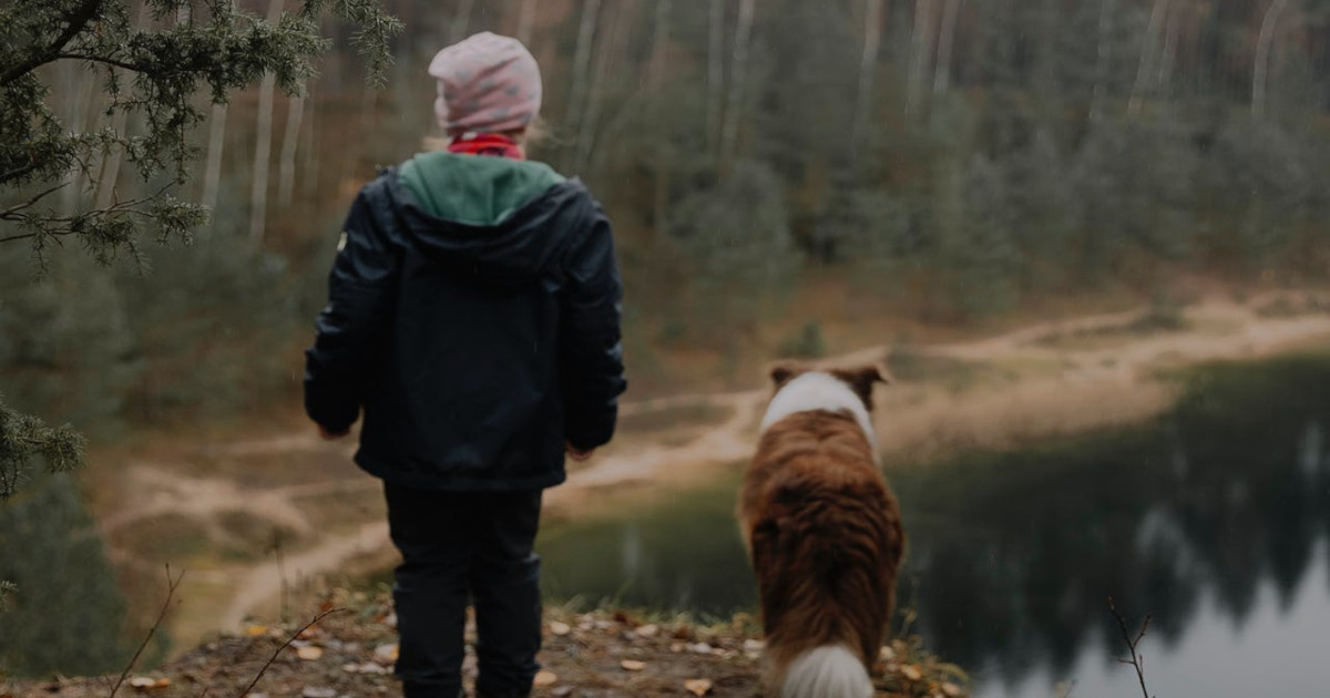 organicconsumers.org