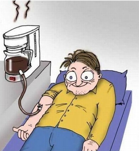 funny-pictures-morning-coffee.jpeg