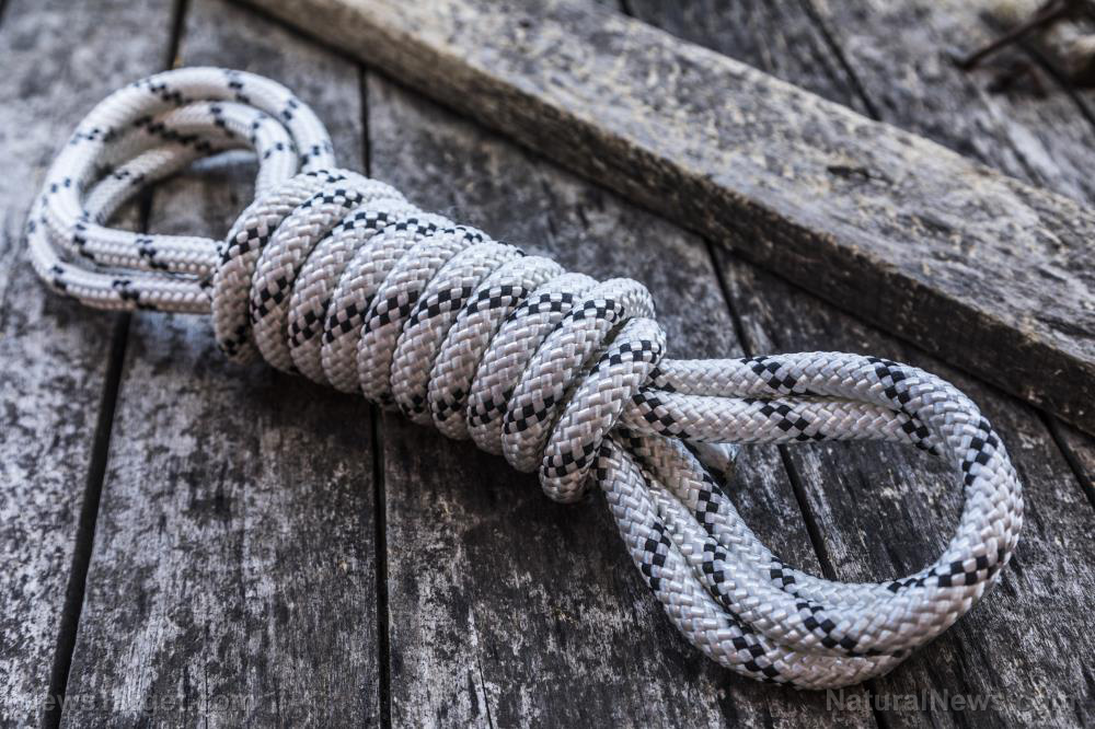 Master these top 5 essential survival knots  