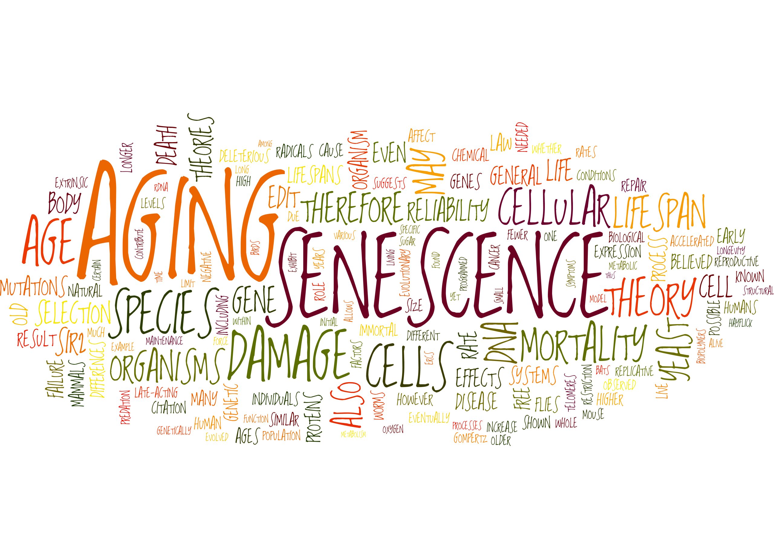 bioindividualwellness.com