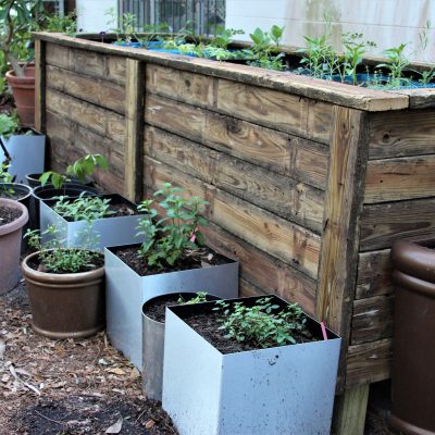 Recycling a Deck into Standing Raised Bed