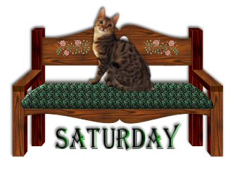 graphics-saturday-698291.jpg