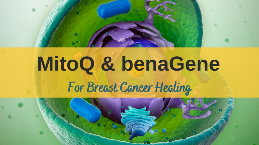 breastcancerconqueror.com