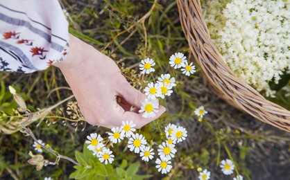 aromaticmedicineschool.com