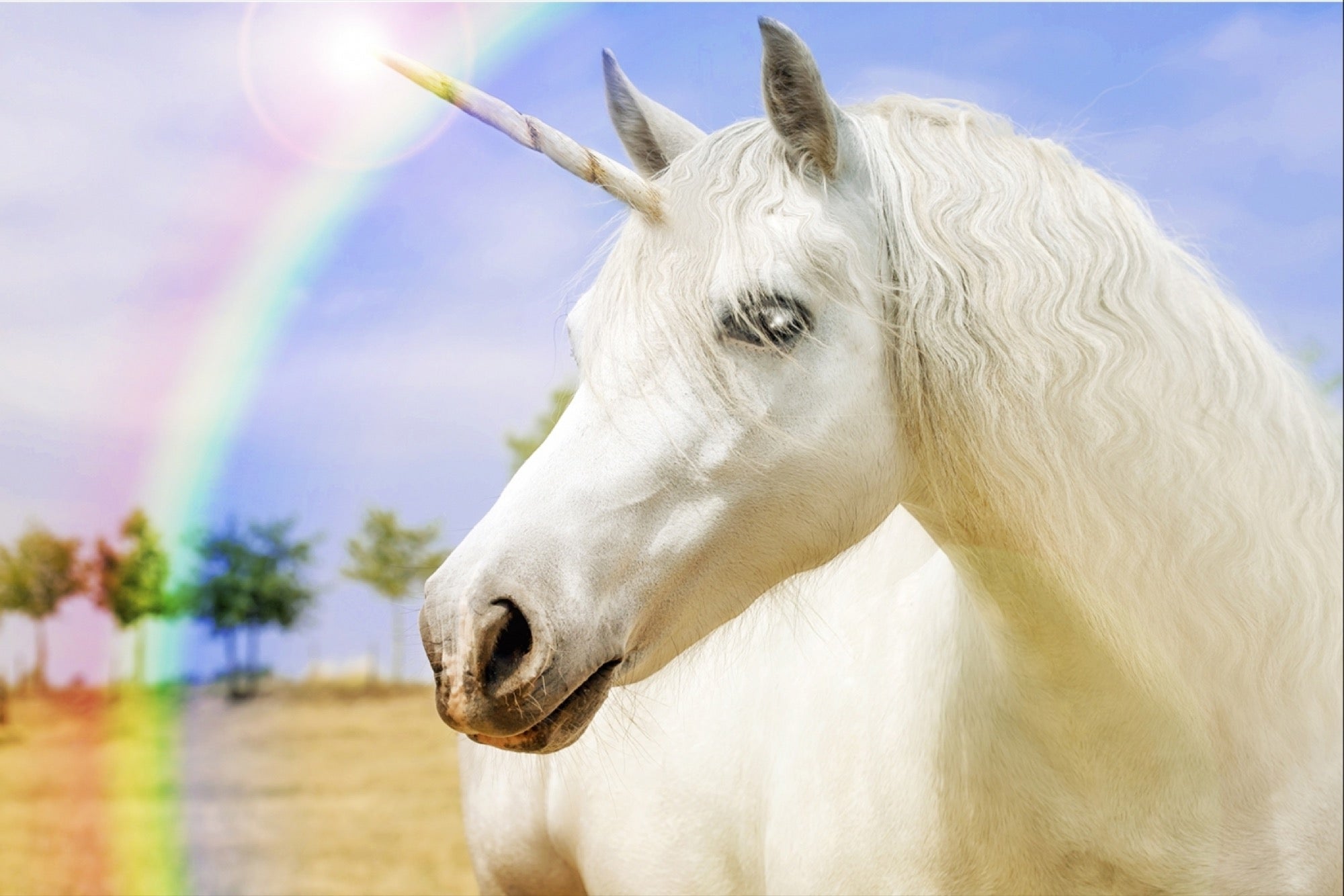 20151103215252-unicorn-rainbow-magical-fiction-beautiful.jpeg