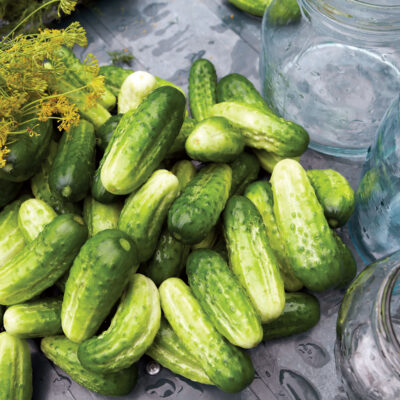 Easy Pickling Recipe For Any Occasion