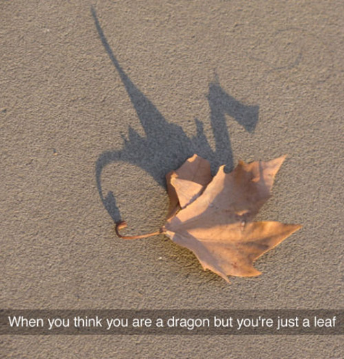 Dragon-leaf.jpg