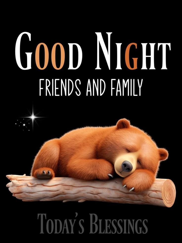 This may contain: a bear sleeping on top of a log with the words good night friends and family