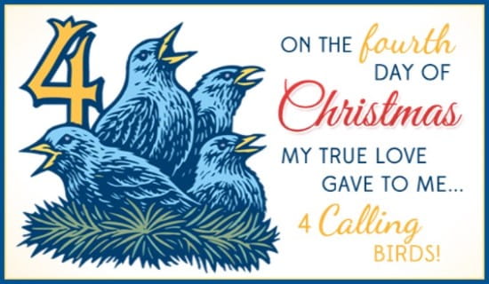 16171-4-calling-birds.jpg