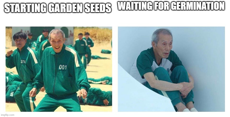 waiting for germination meme