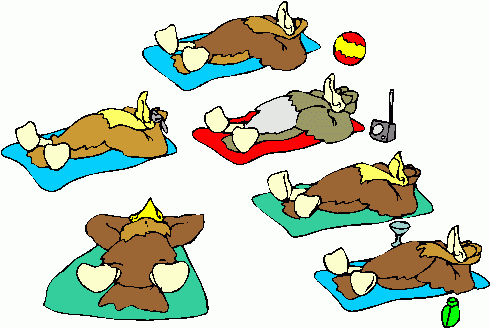 09bb83692e0d411c13d25701406ce63c.gif