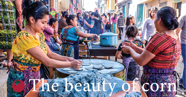 organicconsumers.org