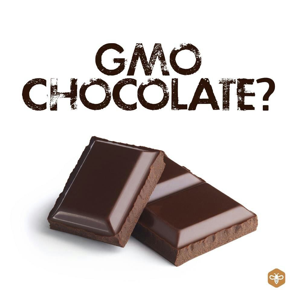 GMO%20chocolate.jpg
