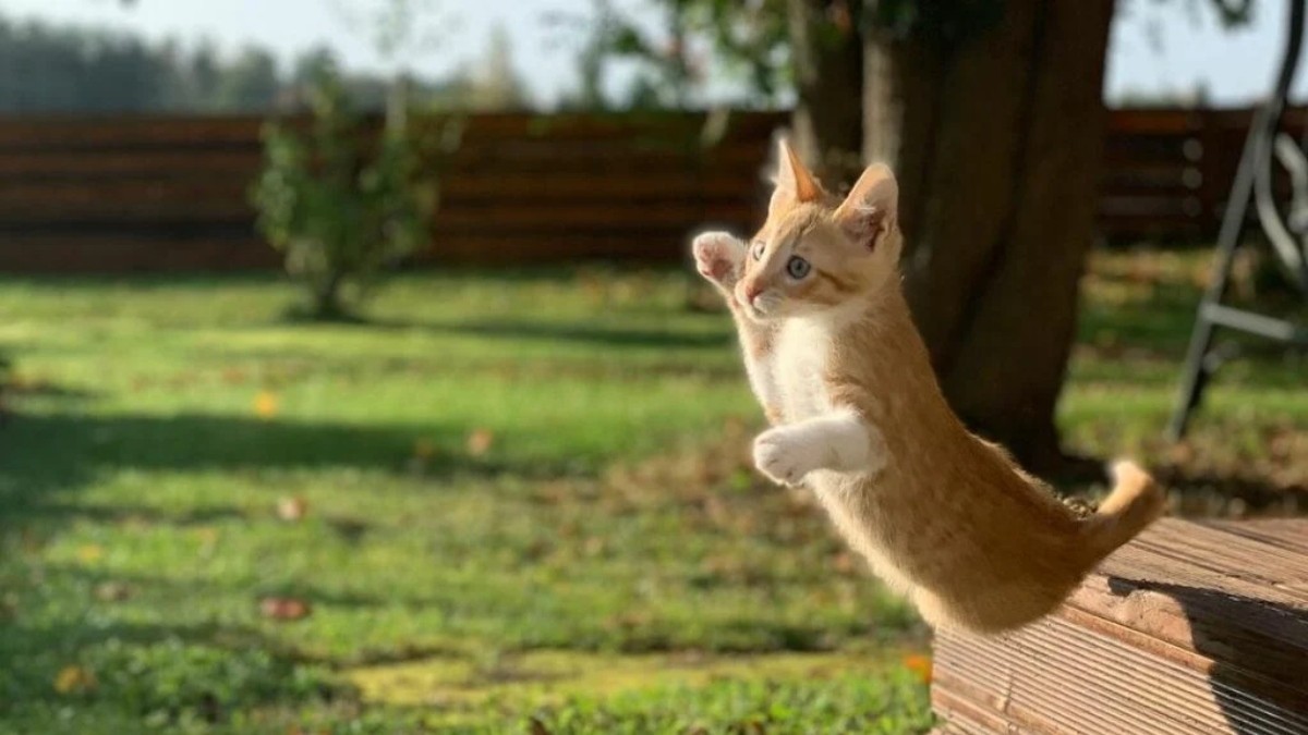 healthyhappynews.com