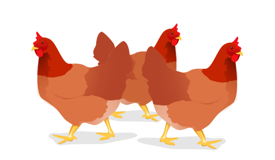 three_french_hens_by_manaxtreme.png