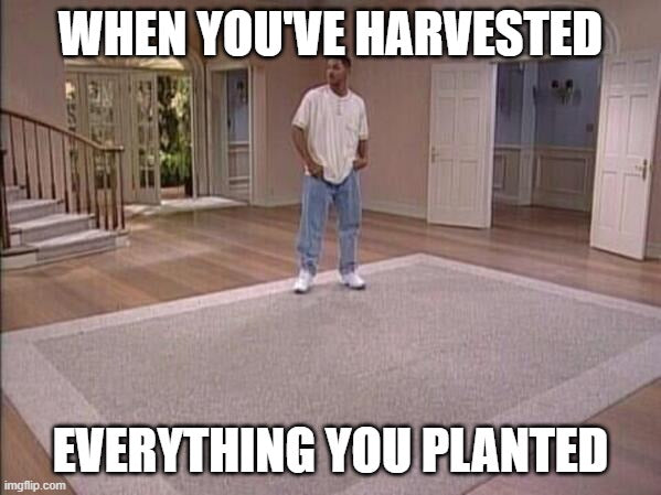 Fresh harvest of bel-air