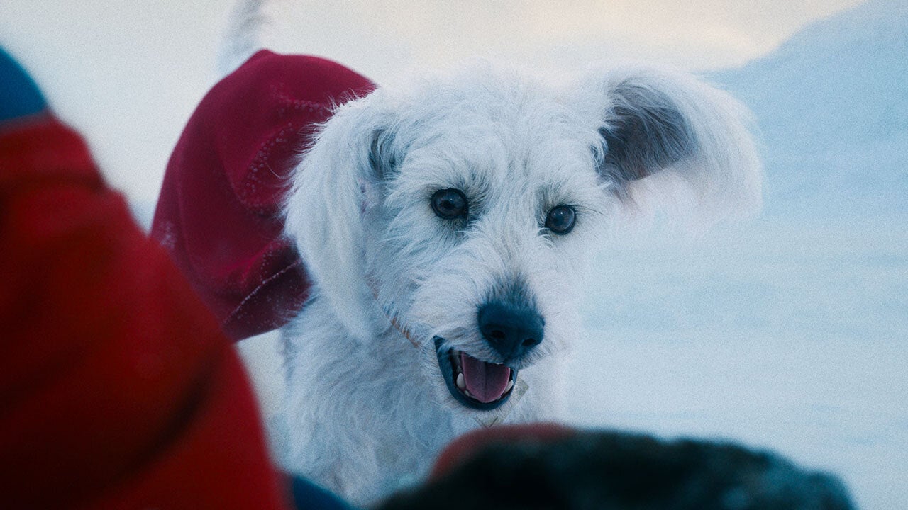 krypto-1752306545407.jpg