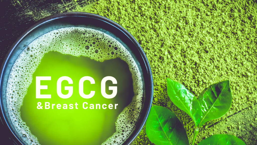 breastcancerconqueror.com