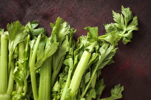 thenutritionwatchdog.com