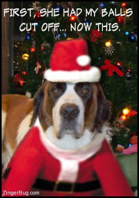 santa_dog.jpg