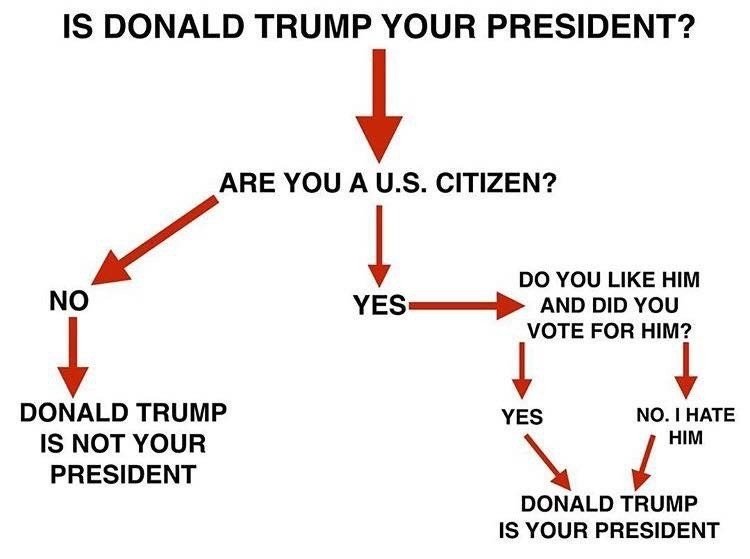 Helpful-chart-to-figure-out-if-Donald-Trump-is-your-president.jpg