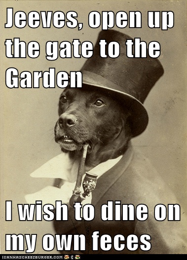 e5c4f722123109e7753949d917e20ec7--old-money-dog-funny-dogs.jpg