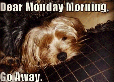 48901-Dear-Monday-Morning.gif