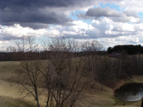 pondcloud-739320.jpg
