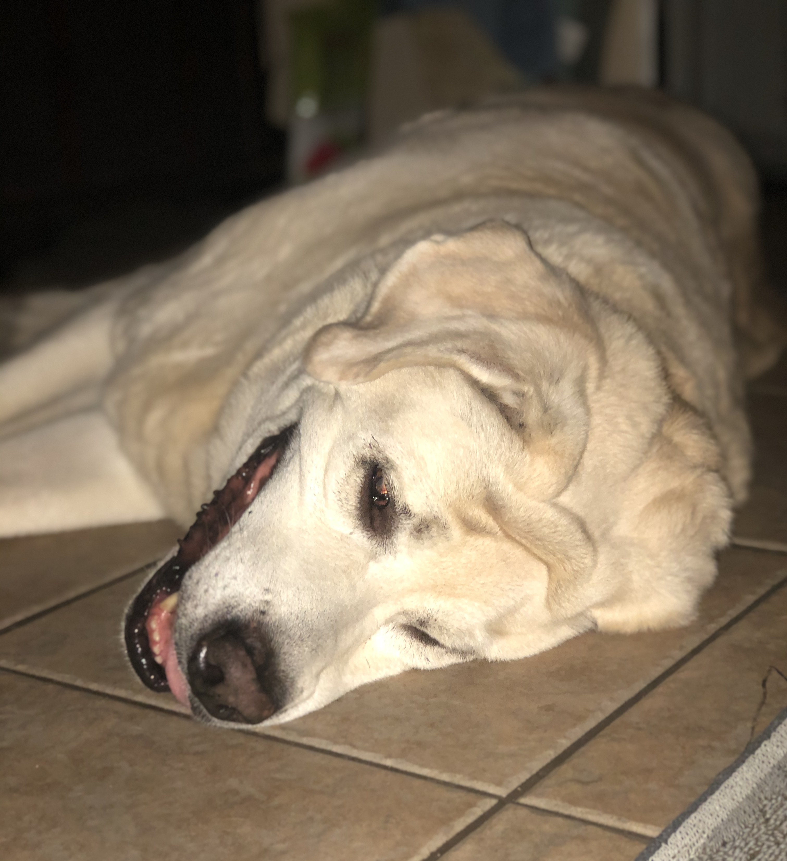 0c51a35f3173b891a0cdeeaeefd68f32.plist