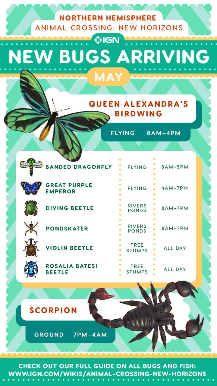 AnimalCrossing-NewBugsforMay-720x1280.jpg